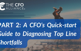 A CFO's Quick-start Guide to Diagnosing Top Line Shortfalls - PART 2 (Thumbnail)